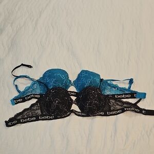 Bebe Lace Bras in Vibrant Blue and Classic Black
